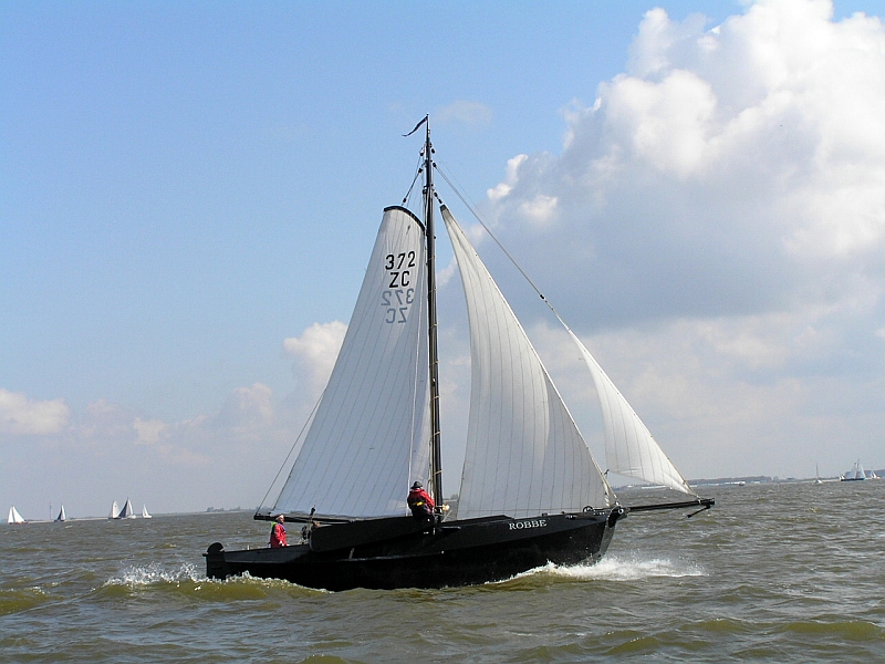 Lemsteraak_Ahoy2008 (5).jpg